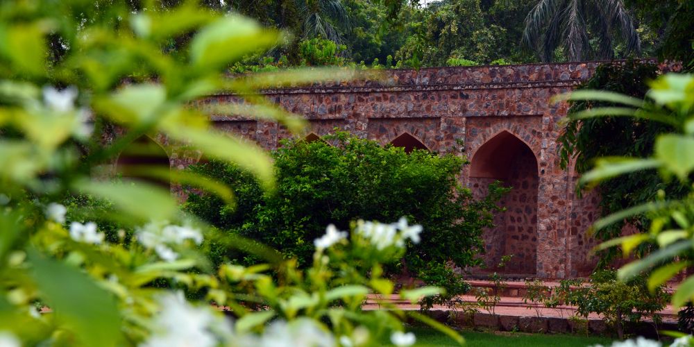 Review: The Walls of Delhi