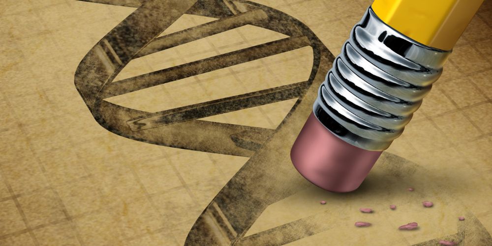 We Don’t Need Genetically Engineered Bananas For Iron Deficiency